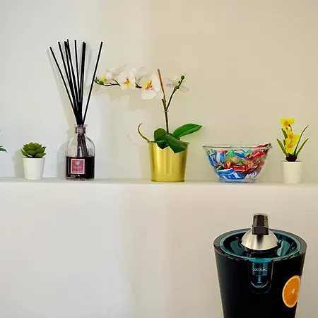 게스트하우스 Turati 로마