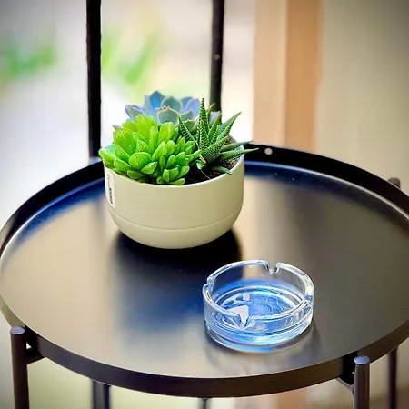 게스트하우스 Turati 로마