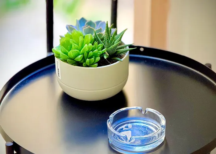 게스트하우스 Turati 로마